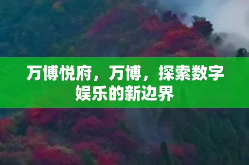 万博悦府，万博，探索数字娱乐的新边界