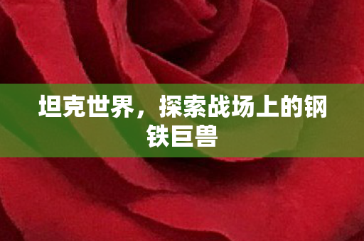 坦克世界，探索战场上的钢铁巨兽