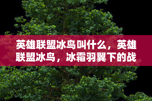 英雄联盟冰鸟叫什么，英雄联盟冰鸟，冰霜羽翼下的战术大师