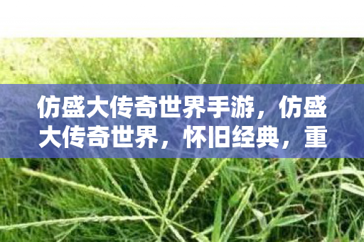 仿盛大传奇世界手游，仿盛大传奇世界，怀旧经典，重塑传奇