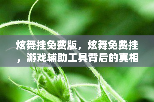 炫舞挂免费版，炫舞免费挂，游戏辅助工具背后的真相与风险