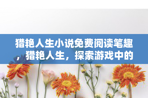 猎艳人生小说免费阅读笔趣，猎艳人生，探索游戏中的浪漫与奇遇