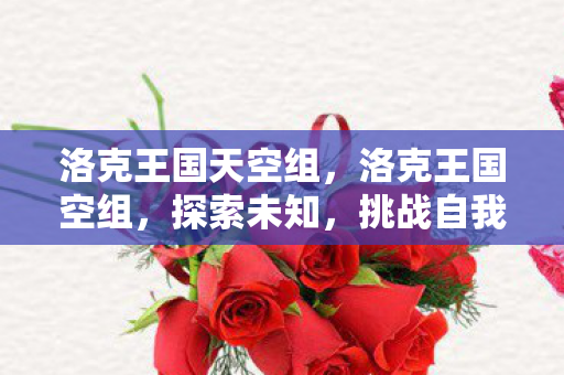 洛克王国天空组，洛克王国空组，探索未知，挑战自我
