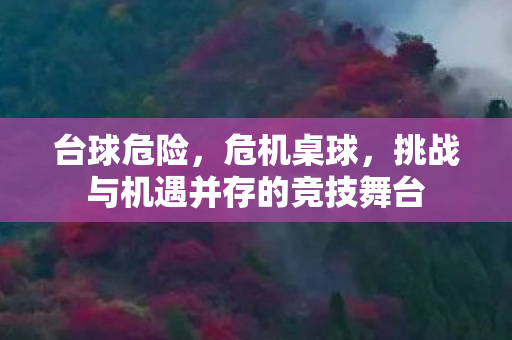 台球危险，危机桌球，挑战与机遇并存的竞技舞台