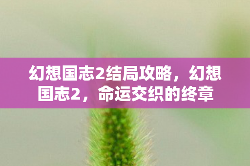 幻想国志2结局攻略，幻想国志2，命运交织的终章