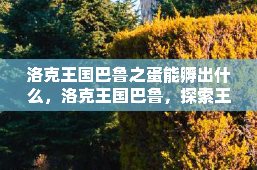 洛克王国巴鲁之蛋能孵出什么，洛克王国巴鲁，探索王国中的神秘角色