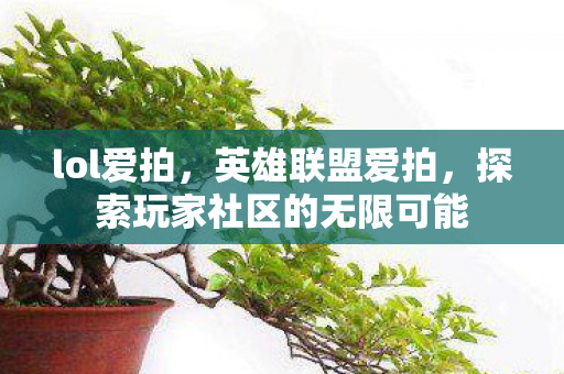lol爱拍，英雄联盟爱拍，探索玩家社区的无限可能