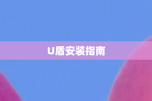 U盾安装指南