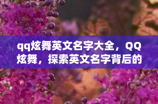 qq炫舞英文名字大全，QQ炫舞，探索英文名字背后的音乐与舞蹈之旅