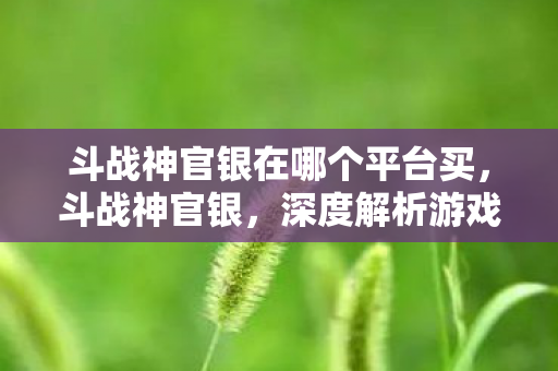 斗战神官银在哪个平台买，斗战神官银，深度解析游戏内经济体系与策略
