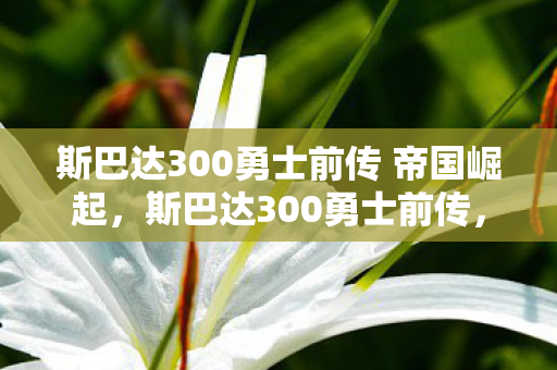 斯巴达300勇士前传 帝国崛起，斯巴达300勇士前传，传奇的序章
