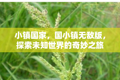 小镇国家，国小镇无敌版，探索未知世界的奇妙之旅