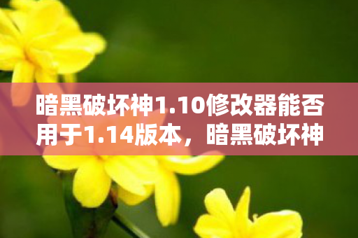 暗黑破坏神1.10修改器能否用于1.14版本，暗黑破坏神1.10修改器，游戏乐趣的无限延伸
