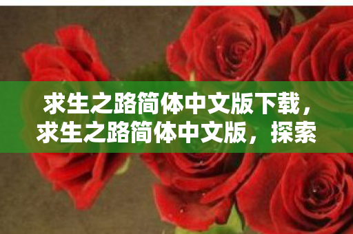 求生之路简体中文版下载，求生之路简体中文版，探索未知世界的生存之旅