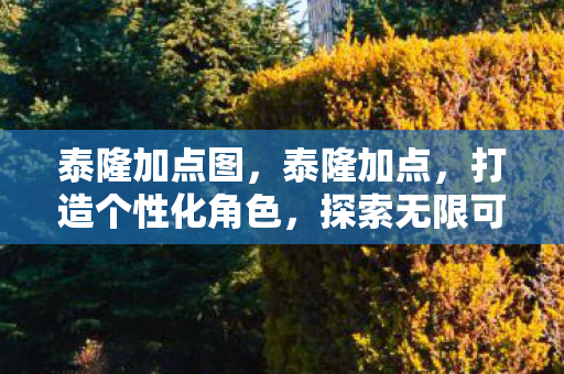 泰隆加点图，泰隆加点，打造个性化角色，探索无限可能