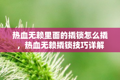 热血无赖里面的撬锁怎么撬，热血无赖撬锁技巧详解