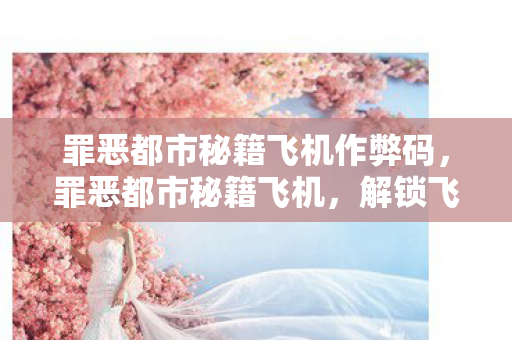 罪恶都市秘籍飞机作弊码，罪恶都市秘籍飞机，解锁飞行技巧的秘籍