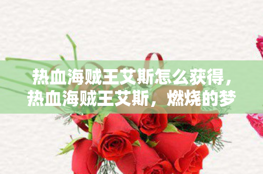热血海贼王艾斯怎么获得，热血海贼王艾斯，燃烧的梦想与不朽的传奇