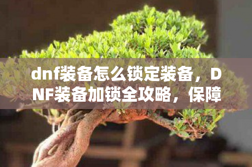 dnf装备怎么锁定装备，DNF装备加锁全攻略，保障你的游戏财产安全