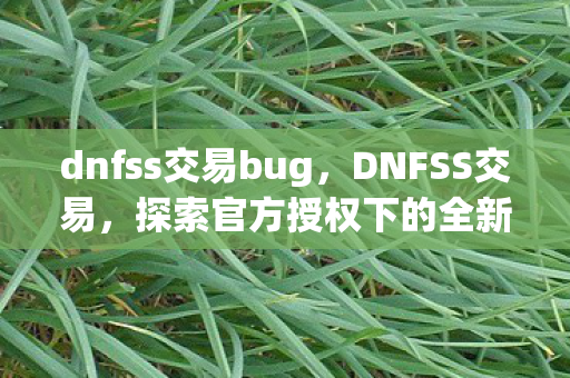 dnfss交易bug，DNFSS交易，探索官方授权下的全新游戏体验