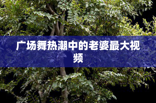 广场舞热潮中的老婆最大视频