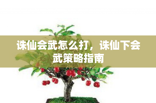 诛仙会武怎么打，诛仙下会武策略指南