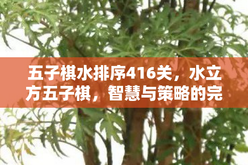 五子棋水排序416关，水立方五子棋，智慧与策略的完美碰撞