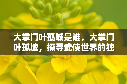 大掌门叶孤城是谁，大掌门叶孤城，探寻武侠世界的独特魅力