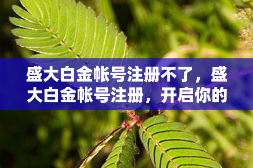 盛大白金帐号注册不了，盛大白金帐号注册，开启你的游戏之旅