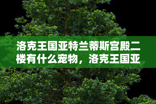 洛克王国亚特兰蒂斯宫殿二楼有什么宠物，洛克王国亚特兰蒂斯宫殿，探索神秘的海底王国