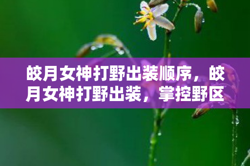 皎月女神打野出装顺序，皎月女神打野出装，掌控野区的秘密