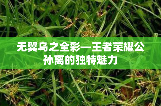 无翼乌之全彩—王者荣耀公孙离的独特魅力