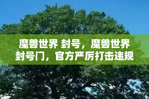 魔兽世界 封号，魔兽世界封号门，官方严厉打击违规行为的背后