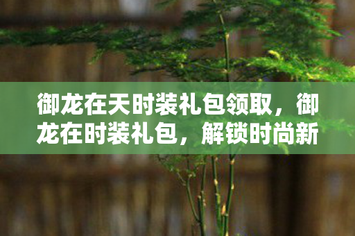 御龙在天时装礼包领取，御龙在时装礼包，解锁时尚新风尚，打造个性角色