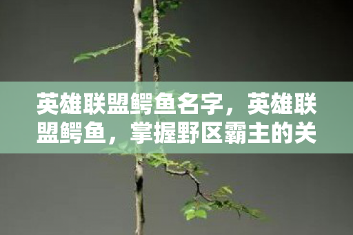 英雄联盟鳄鱼名字，英雄联盟鳄鱼，掌握野区霸主的关键技巧