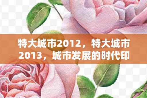 特大城市2012，特大城市2013，城市发展的时代印记与未来展望