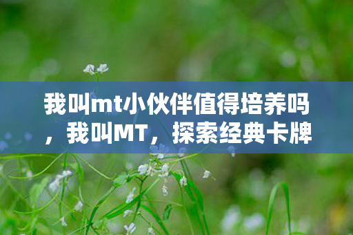 我叫mt小伙伴值得培养吗，我叫MT，探索经典卡牌游戏的魅力与乐趣
