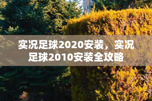 实况足球2020安装，实况足球2010安装全攻略