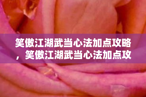 笑傲江湖武当心法加点攻略，笑傲江湖武当心法加点攻略，打造无敌武当，纵横江湖