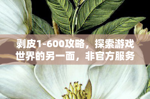 剥皮1-600攻略，探索游戏世界的另一面，非官方服务器的独特魅力