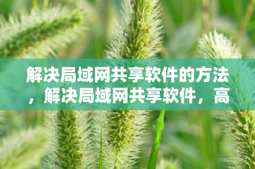 解决局域网共享软件的方法，解决局域网共享软件，高效、安全、便捷的方案