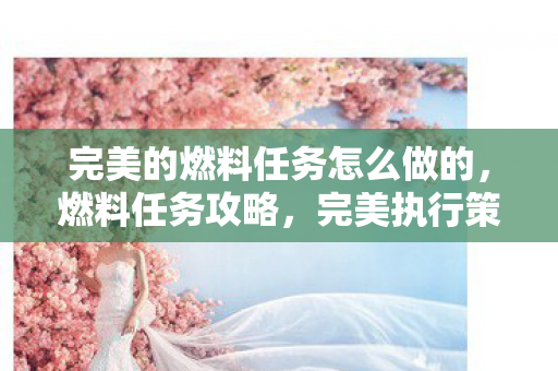 完美的燃料任务怎么做的，燃料任务攻略，完美执行策略