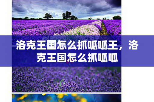 洛克王国怎么抓呱呱王，洛克王国怎么抓呱呱