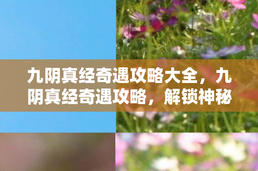 九阴真经奇遇攻略大全，九阴真经奇遇攻略，解锁神秘奇遇，探索江湖奇缘
