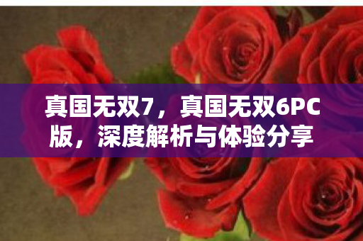 真国无双7，真国无双6PC版，深度解析与体验分享
