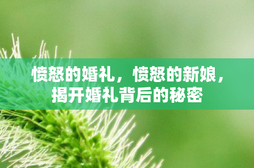 愤怒的婚礼，愤怒的新娘，揭开婚礼背后的秘密