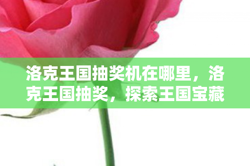 洛克王国抽奖机在哪里，洛克王国抽奖，探索王国宝藏，惊喜连连！