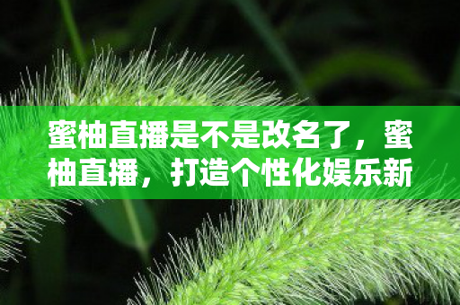 蜜柚直播是不是改名了，蜜柚直播，打造个性化娱乐新体验