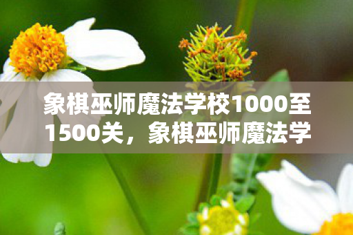 象棋巫师魔法学校1000至1500关，象棋巫师魔法学校，探索棋艺与魔法的奇妙融合