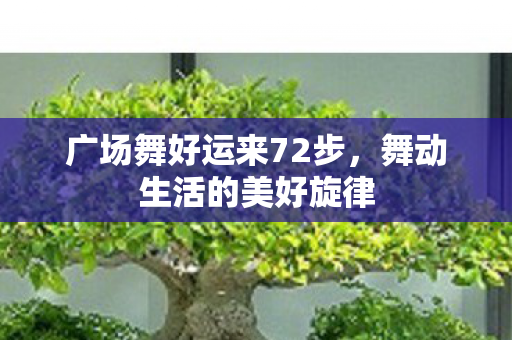 广场舞好运来72步，舞动生活的美好旋律